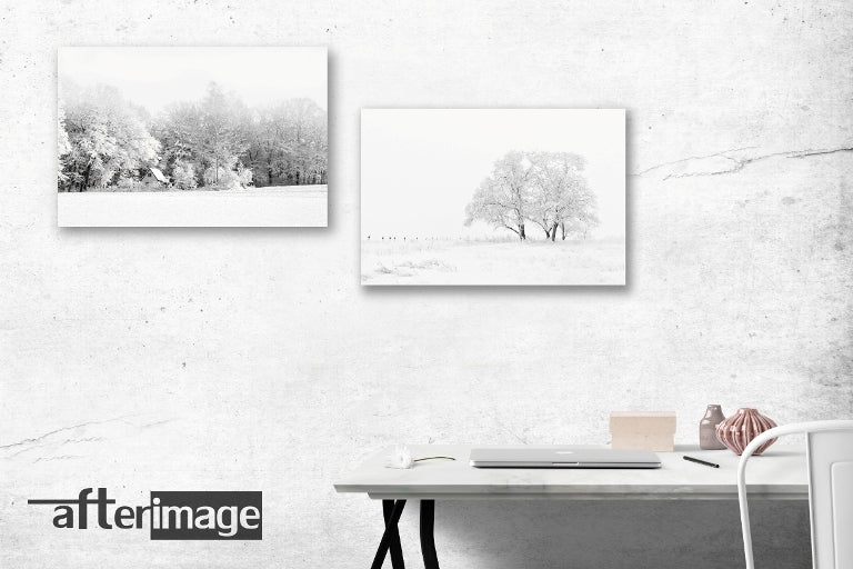 "Snowscapes" - Landscape Printed Canvas set - afterimage.canvas