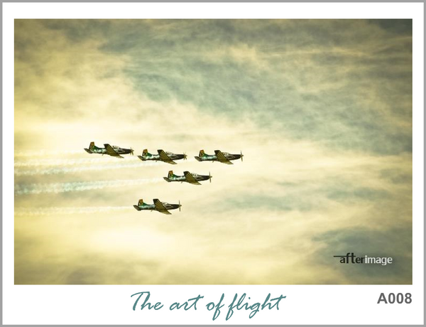 "Cloud Riders" - Aviation Printed Canvas set - afterimage.canvas