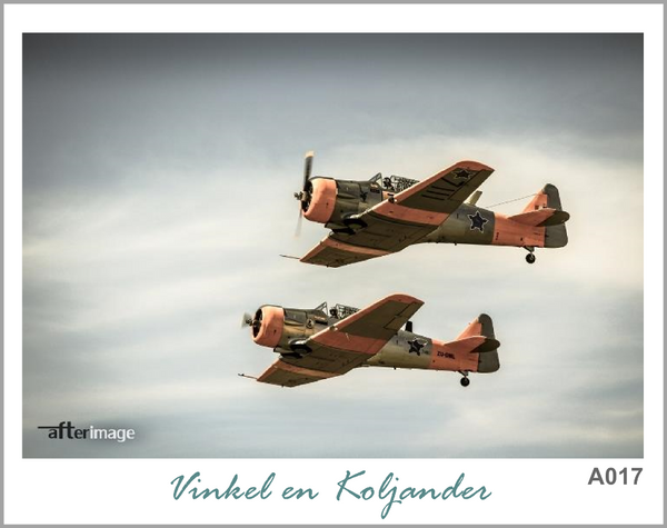 "Cloud Riders" - Aviation Printed Canvas set - afterimage.canvas