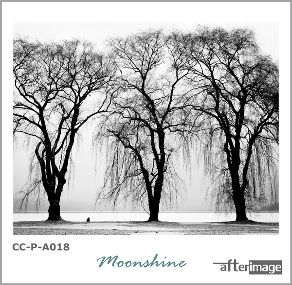 "Moonshine" - Black and White Printed Canvas set - afterimage.canvas